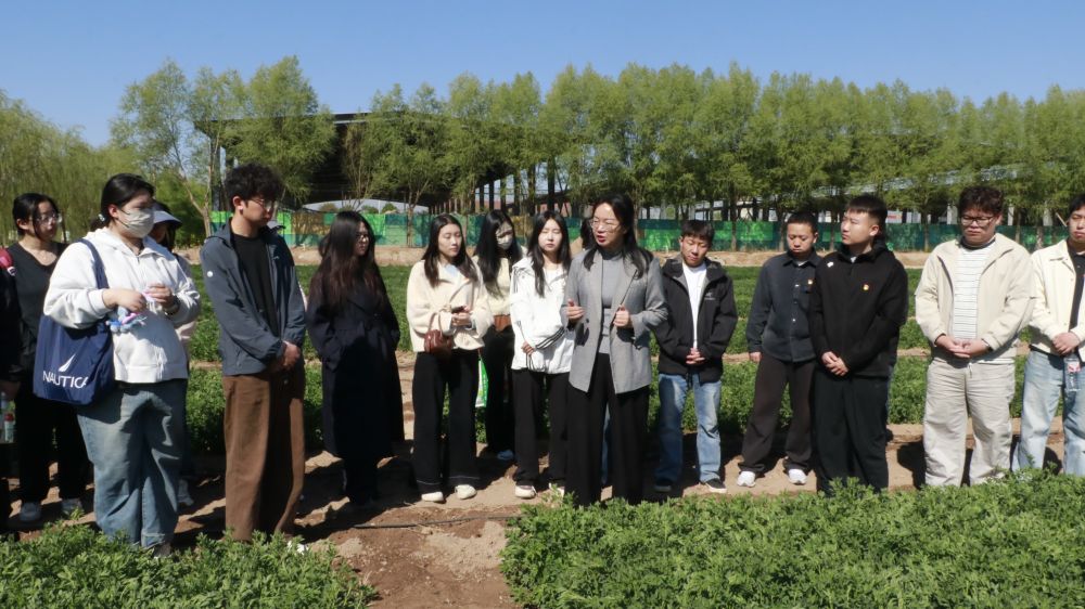 科技小院扎根寧夏大地，鄉(xiāng)村振興注入青春力量